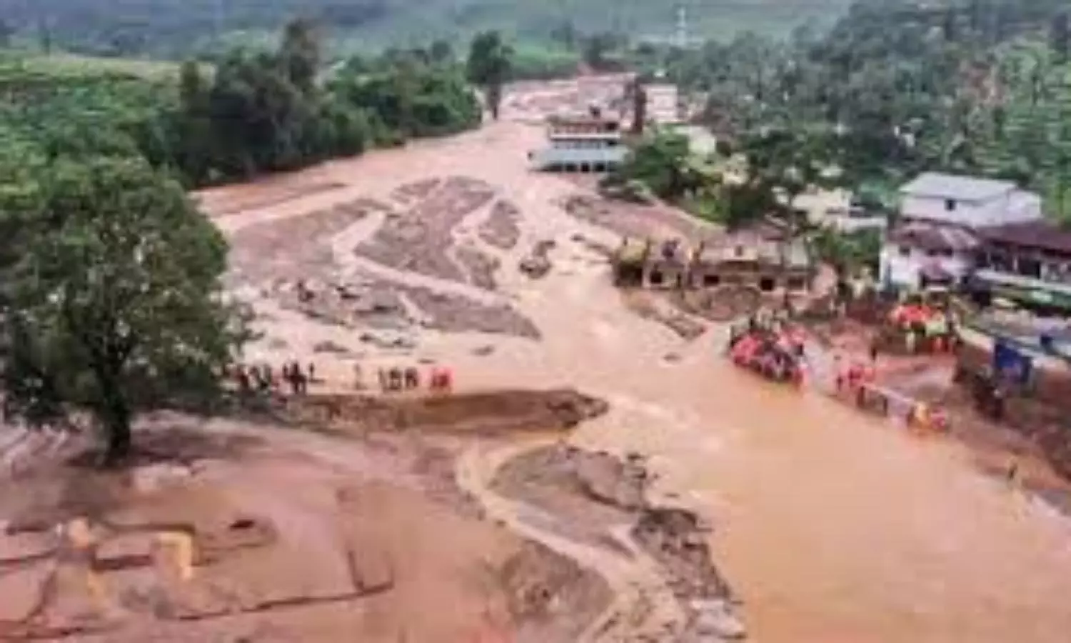 Woman ambulance driver in Kerala recounts tragedy while serving Wayanad victims