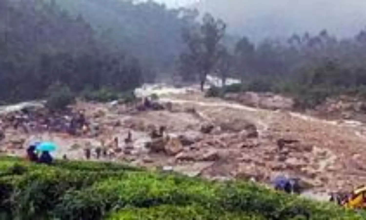 65 dismembered bodies of Wayanad landslide victims found on river bank 12 km away