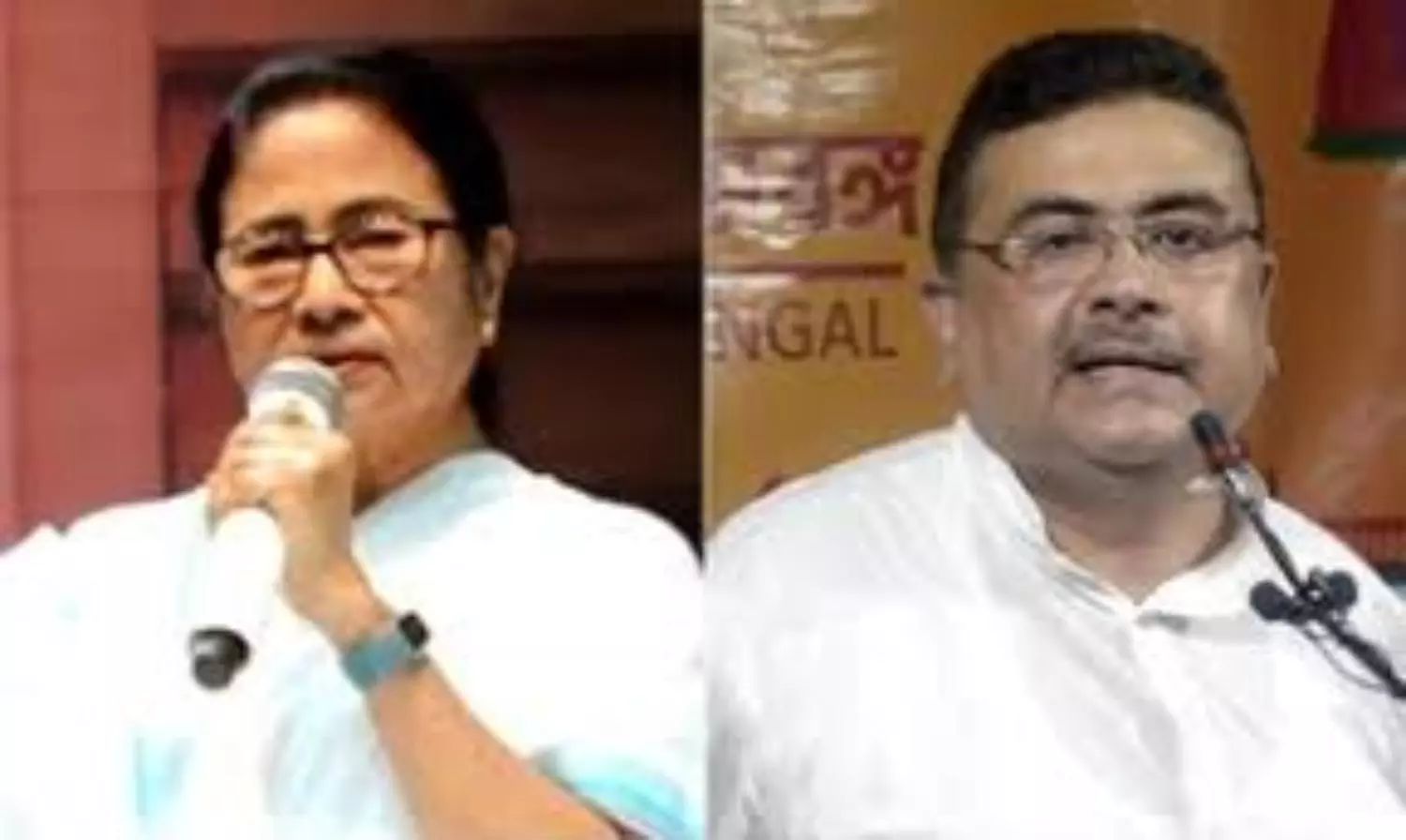 Mamata, Suvendus joint stand: assembly passes motion against division