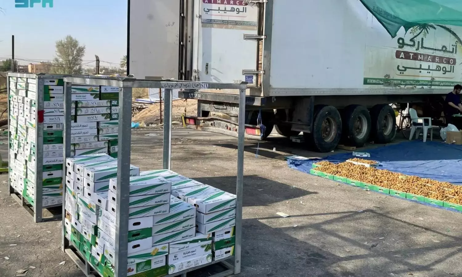 Saudis Buraidah exports dates to over 100 countries worldwide