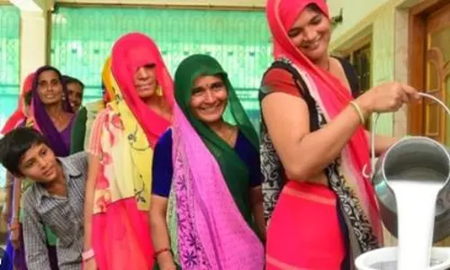 Electronics, dairy and poultry products mark export uptick in July: Report