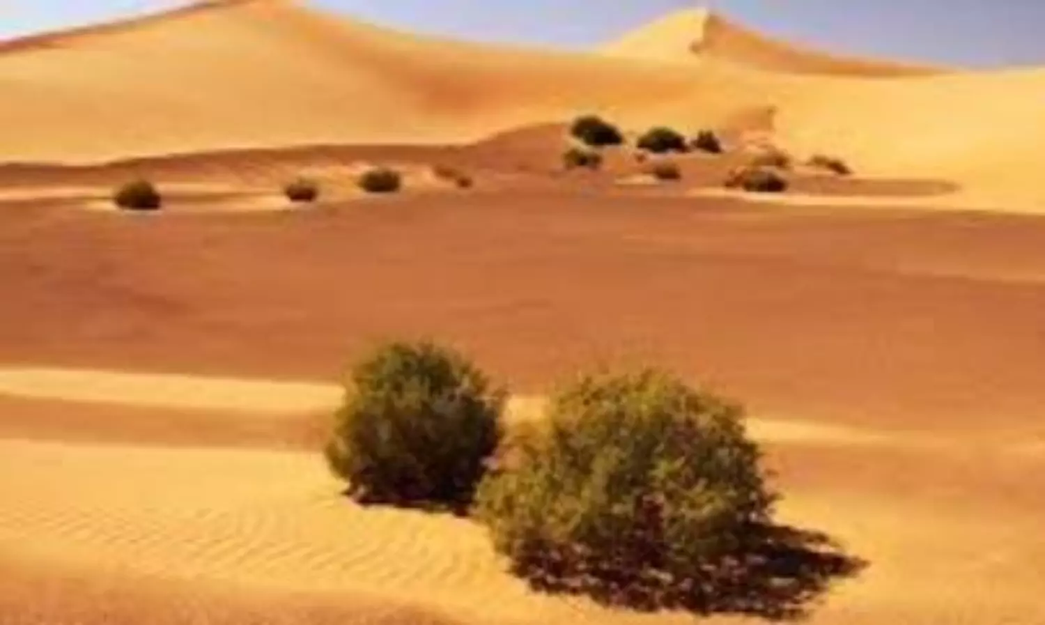 Telangana man, colleague die after losing GPS signal in Saudi Arabia’s desert