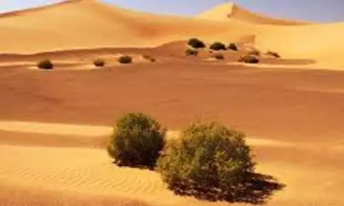 Telangana man, colleague die after losing GPS signal in Saudi Arabia’s desert