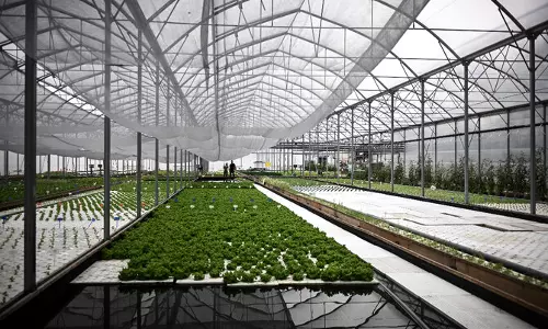 Saudi Environment Ministry unveils aquaponics investment opportunity in Jubail