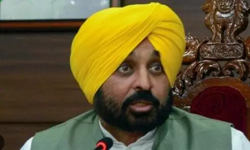 Punjab hikes fuel rates, scraps power subsidy above loads of 7 KW