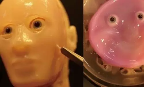 Japanese scientists successfully attach living skin onto robot face