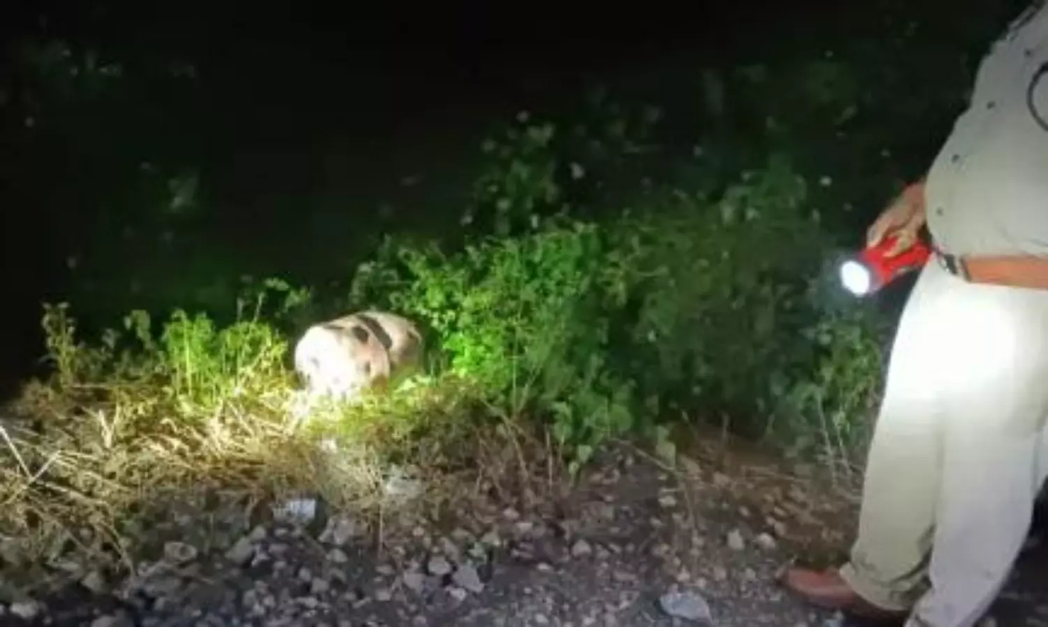 Train hits LPG cylinder in Kanpur, loco pilot averts major accident