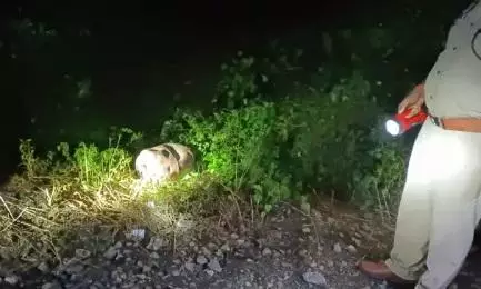 Train hits LPG cylinder in Kanpur, loco pilot averts major accident