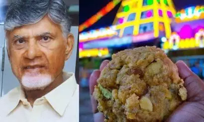 Naidu alleges fish oil and beef tallow used in Tirupati temple laddoo