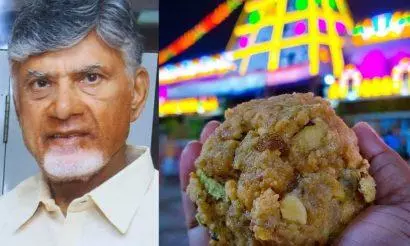 Naidu alleges fish oil and beef tallow used in Tirupati temple laddoo