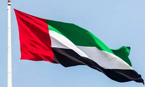 UAE: 4 soldiers killed, 9 injured in on-duty accident
