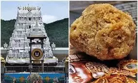 Tirupati Laddu Controversy