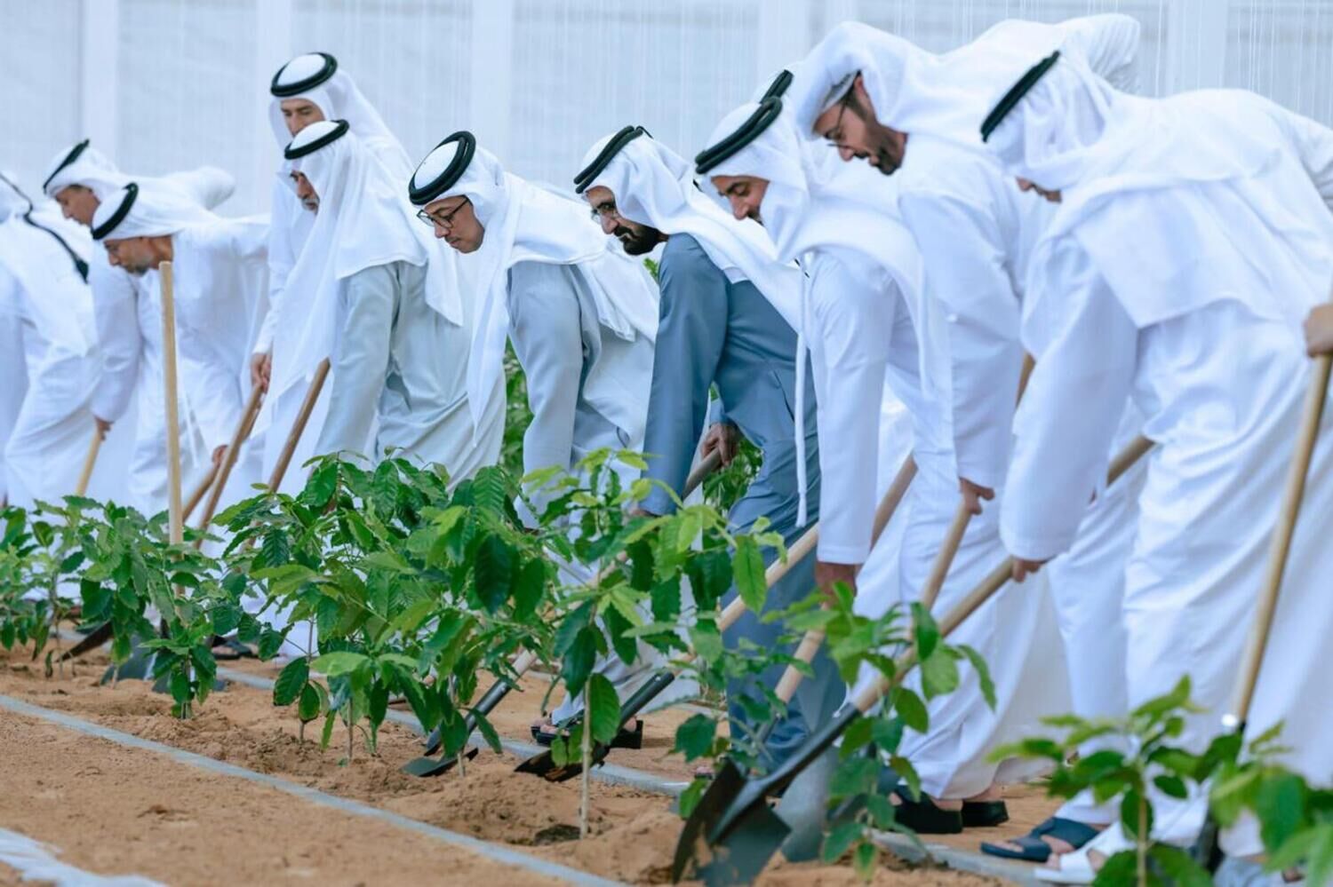 Sheikh Mohammed launches Plant the Emirates initiative for a greener future