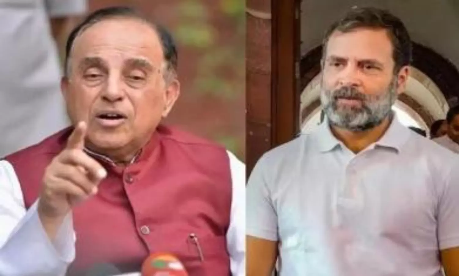 Plea in Delhi HC seeks cancellation of Rahul Gandhis citizenship