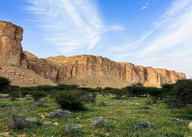 Ibex Reserve becomes Saudi Arabias first Green List protected area