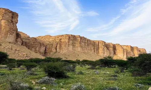 Ibex Reserve becomes Saudi Arabias first Green List protected area