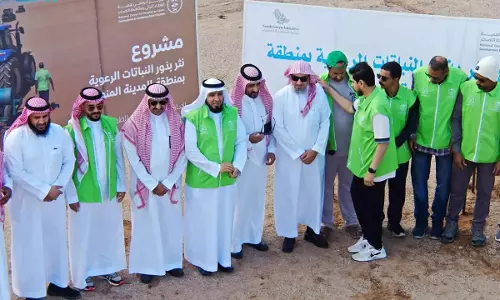 Madinah greening project successfully plants trees, vegetation