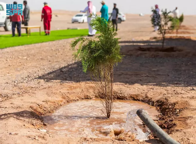 Thousands of volunteers join Madinah’s push for a greener future