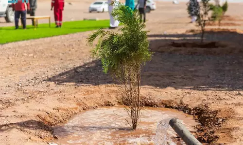 Thousands of volunteers join Madinah’s push for a greener future