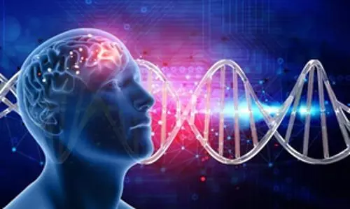 Study shows Alzheimers risk gene fuels inflammation in healthy immune cells in brain