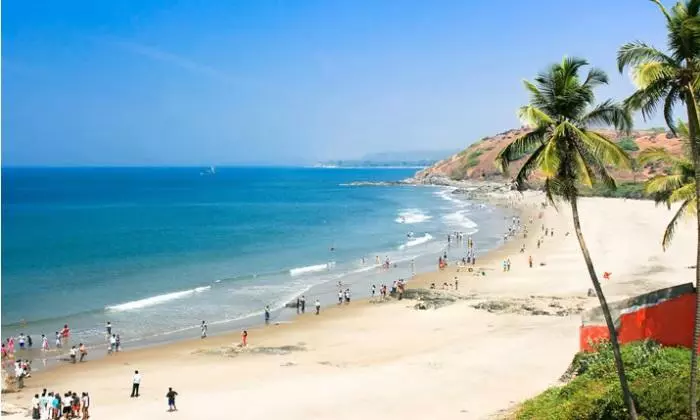 Goa struggling following over 60% drop in foreign tourists: report