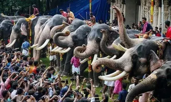 Kerala HC observes parading elephants is not essential to faith, issues regulations