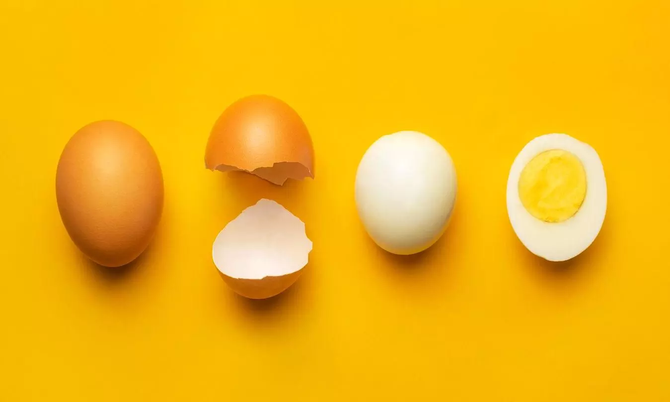 An egg a day may boost memory, brain functions in women: Study