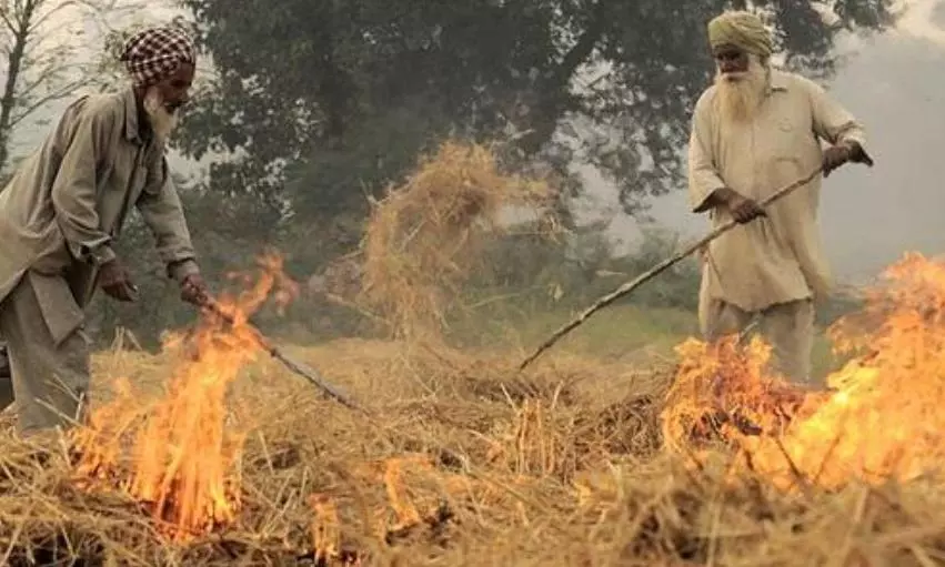 Punjab reports seasons highest farm fire cases as Delhi continues to choke