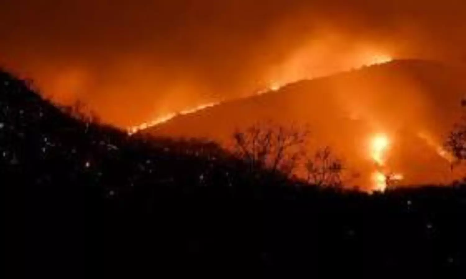 wildfire
