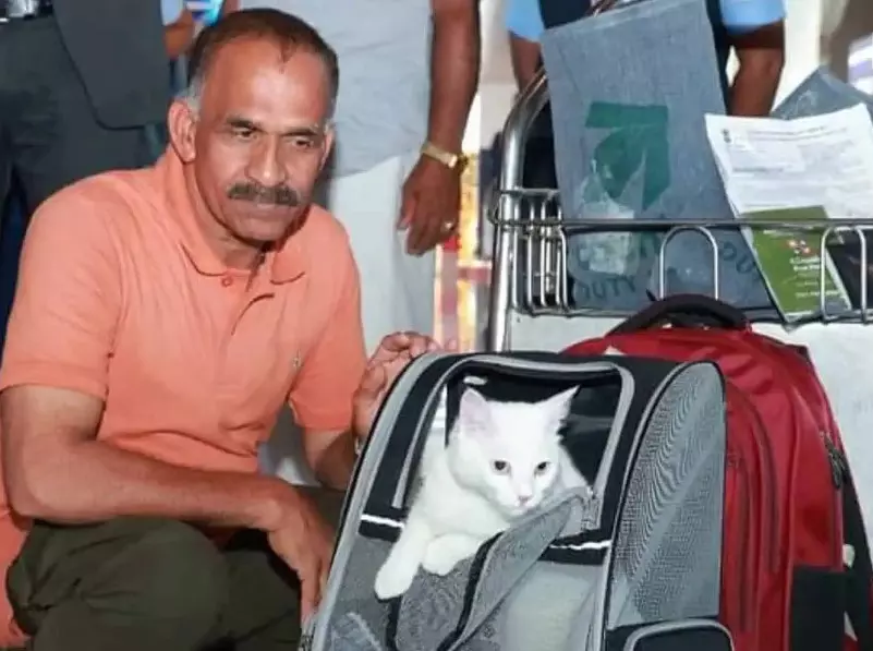 Eva makes history as first pet passenger to arrive at Kochi Airport from Doha