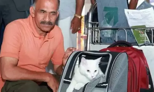 Eva makes history as first pet passenger to arrive at Kochi Airport from Doha