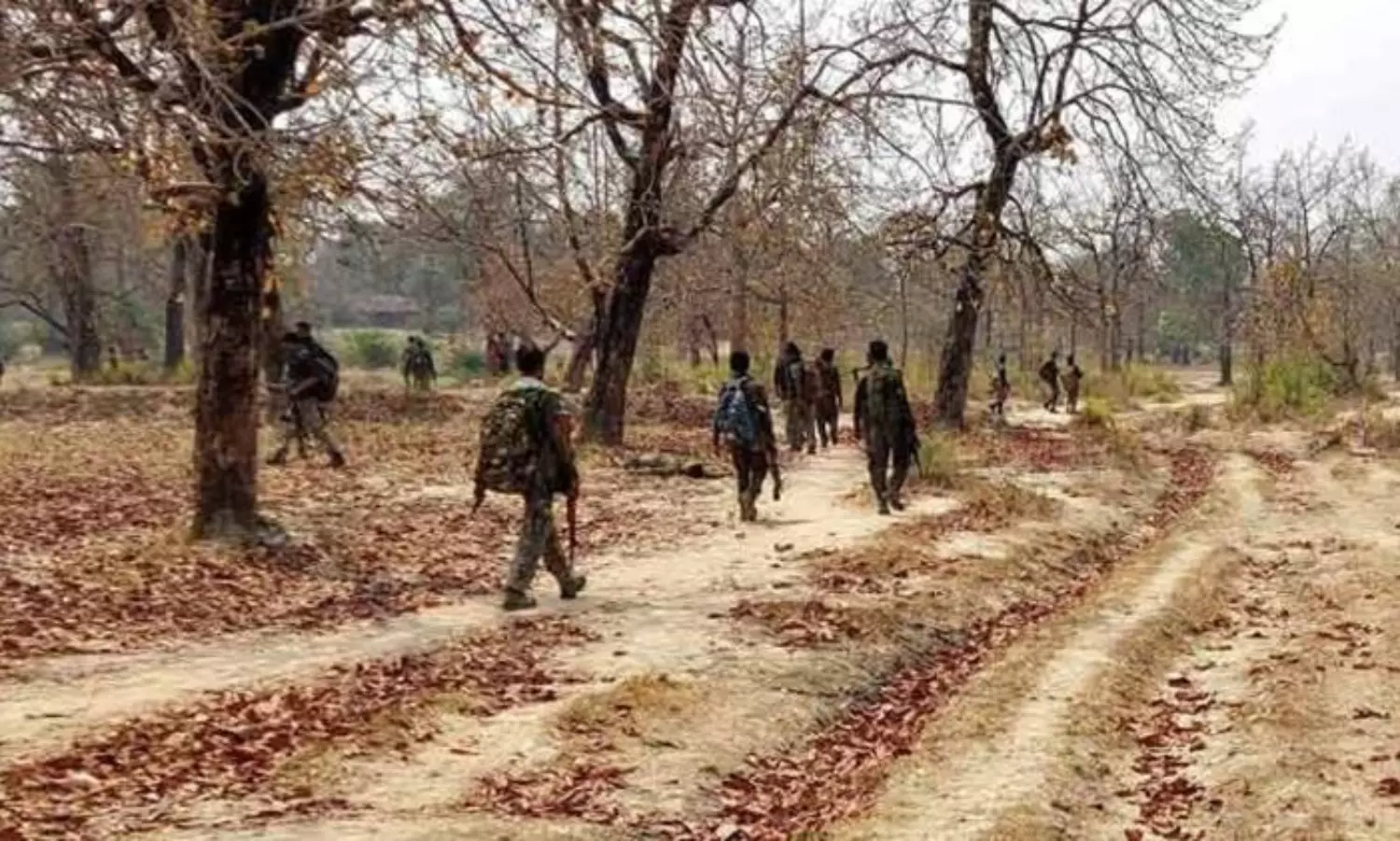 7 Maoists including key leaders killed in encounter in Telangana