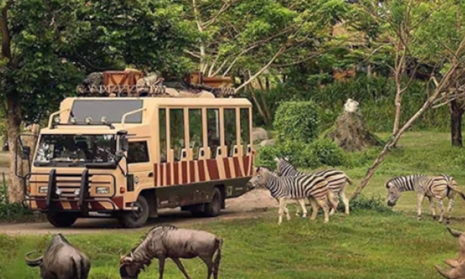 Dubai Safari Park launches limited-time night safaris this winter