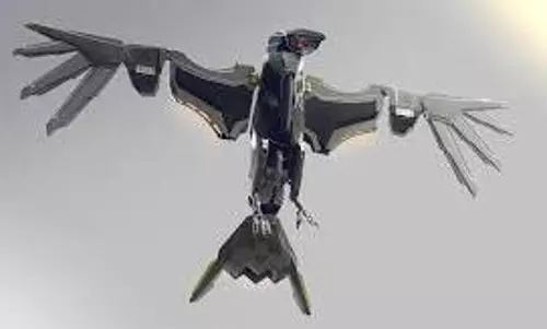 raven