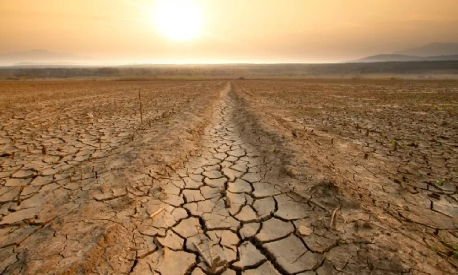 Over 3/4th of Earths land became drier in last 30 years: UN