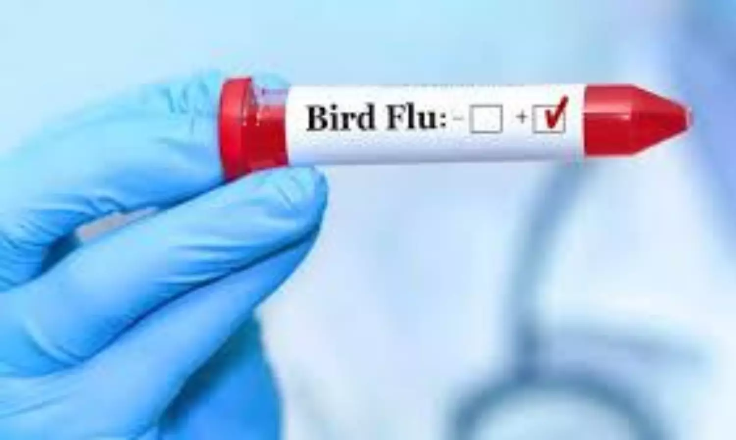 bird flu