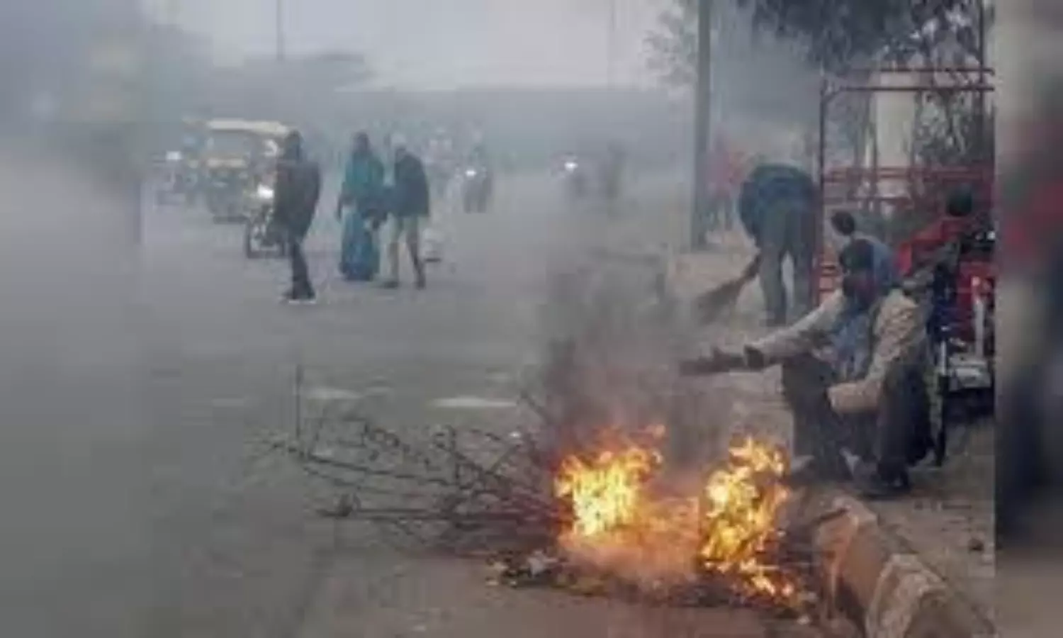 Delhi Winter