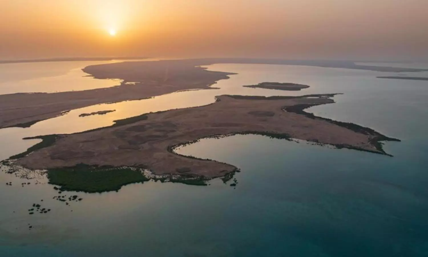 Saudi hosts first Regional Arab Youth Forum on man, biosphere in Jazan