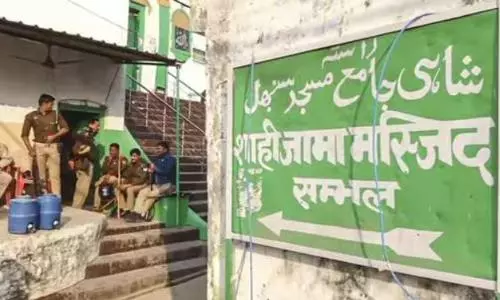 ASI surveys temple, 5 pilgrimage sites, 19 wells in Sambhal
