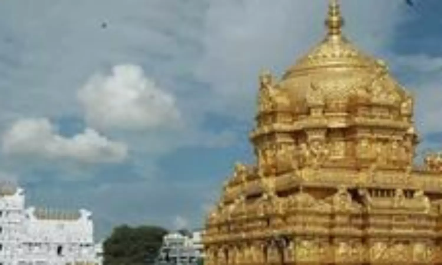 Six devotees killed in stampede in Tirupati