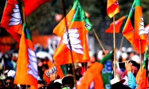 Delhi polls: BJP to offer temples, gurudwaras free electricity