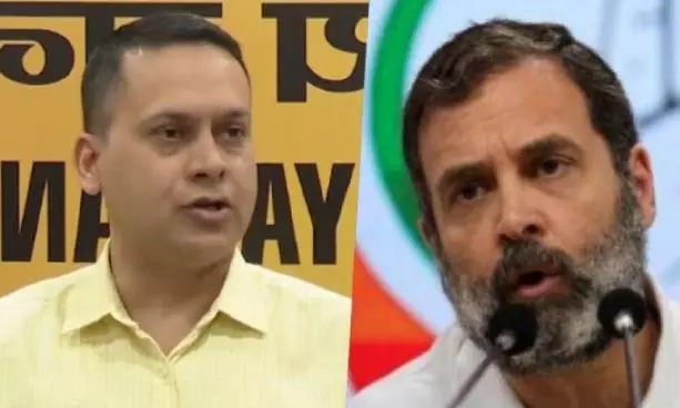 Rahul Gandhi, Congress relied on Hindenburg’s reports: Amit Malviya