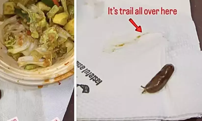 Woman finds live snail in food; Hyderabad eatery under fire