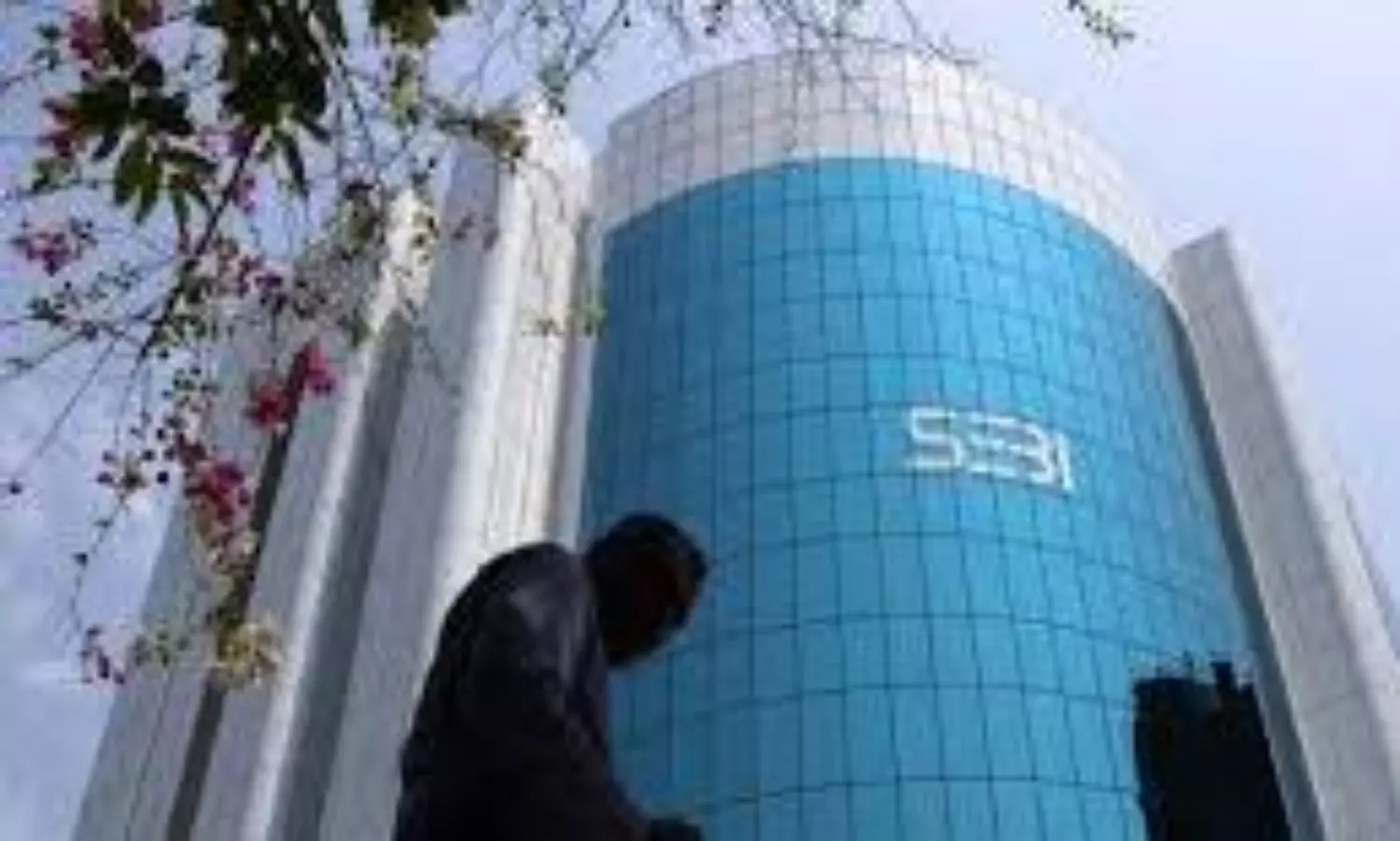 sebi