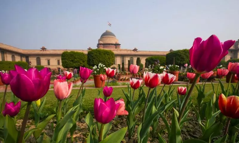 Amrit Udyan at Rashtrapati Bhavan opens for public viewing