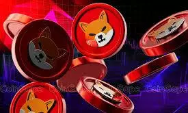 Shiba Inu