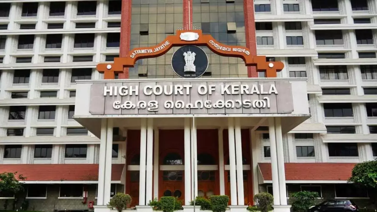 Kerala trans man moves High Court to preserve his eggs
