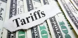 Panel formed to review US reciprocal tariffs; to submit report in March