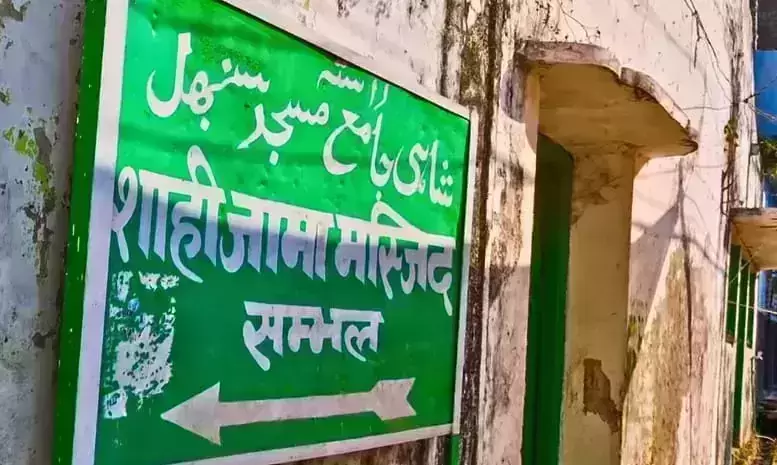 Allahabad HC orders ASI to whitewash Sambhal Mosque in one week