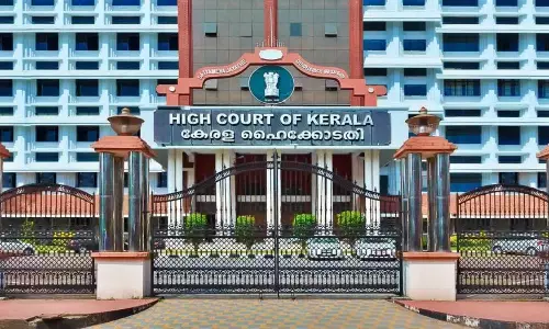 Kerala HC grants bail to man who attacked mother over money